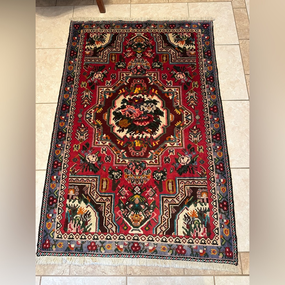 Authentic Persian Hand-Knotted Wool Rug